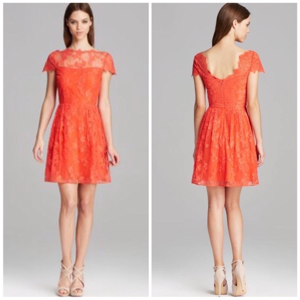 Cynthia Steffe Hannah Cap Sleeve Lace Dress 6